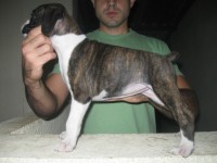 /album/satre-x-shena1/f%c3%aamea-2-jpg3/